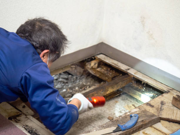 Best Emergency Mold Removal  in Garrison, MD