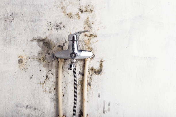 Best Mold Remediation  in Garrison, MD