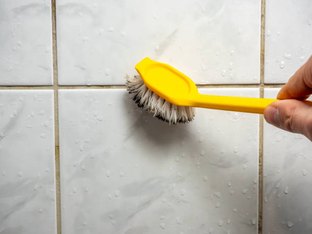 Best Same-Day Mold Removal  in Garrison, MD