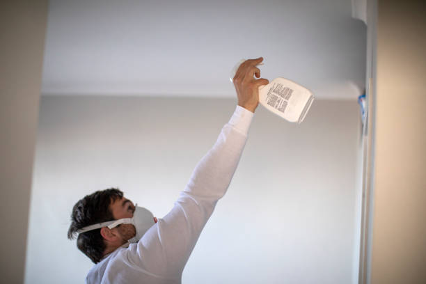 Best Local Mold Removal Service  in Garrison, MD