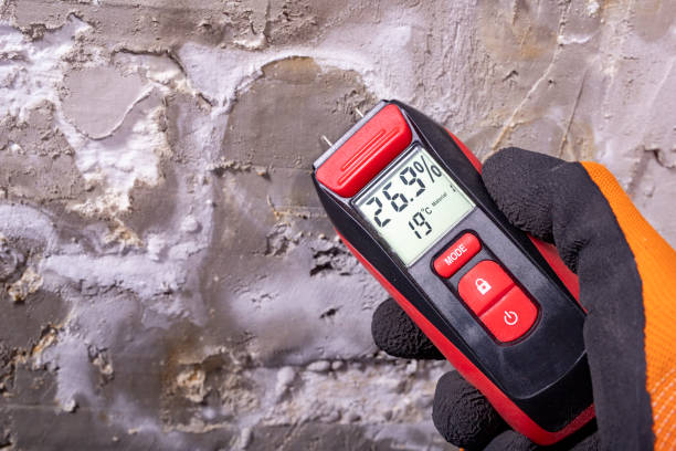 Best Mold Remediation Experts  in Garrison, MD
