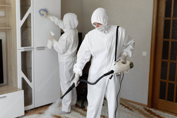 Best Attic Mold Removal  in Garrison, MD