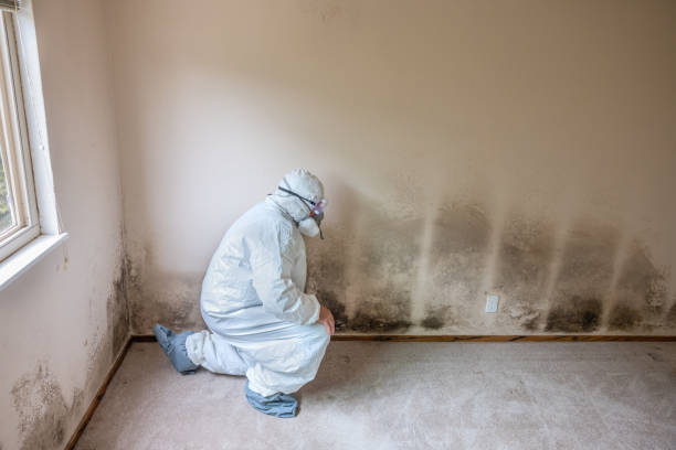 Best Commercial Mold Removal  in Garrison, MD