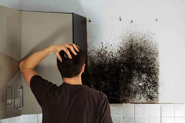 Best Residential Mold Removal  in Garrison, MD