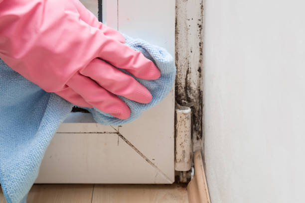 Best Water Damage Restoration  in Garrison, MD