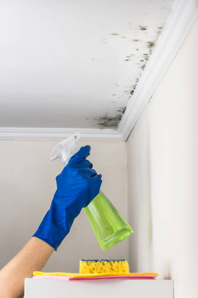 Best Mold Testing  in Garrison, MD