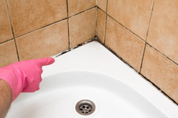 Best Professional Mold Removal  in Garrison, MD
